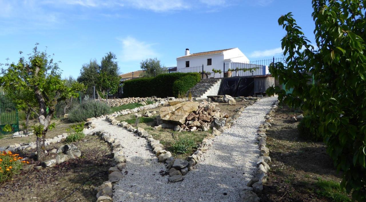מונטפריו B&B Lasnavillasmm מראה חיצוני תמונה