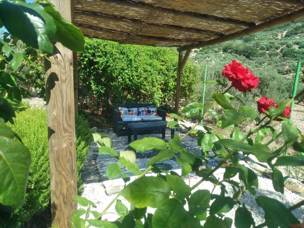 מונטפריו B&B Lasnavillasmm מראה חיצוני תמונה
